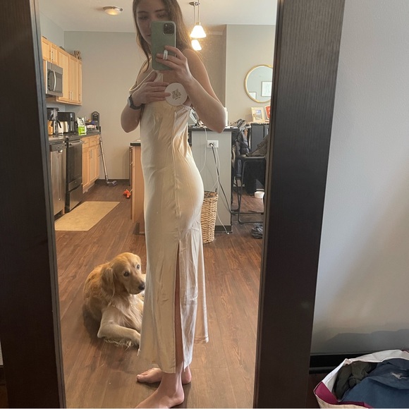 Princess Polly champagne dress - Picture 2 of 4